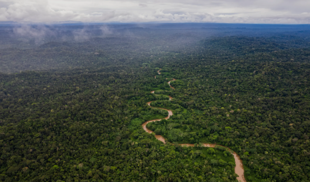 Alhamdulillah, Deforestasi di Amazon Brasil Turun ke Level Terendah Sejak 2019